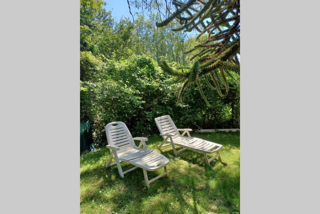 Mesigny L'Oree Des Bois , Detente Et Calme . מראה חיצוני תמונה