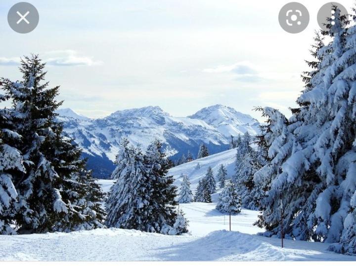 Mesigny L'Oree Des Bois , Detente Et Calme . מראה חיצוני תמונה
